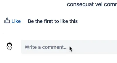 Confluence page comment box located at the bottom of the page